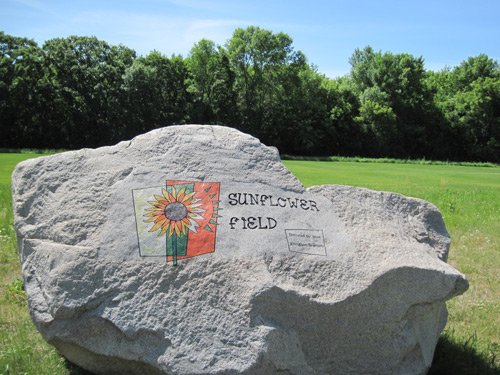 The Sunflower Field was named for Mae Ellingson-Skalicky. The youth use it daily for recreational therapy such as soccer, golf and kite flying.