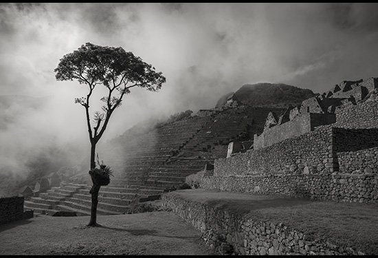 Black and white photo from Machu Picchu. Displayed in Dr. Jurgens' office at Coborn Cancer Center.