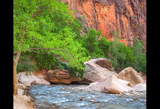 Zion Canyon and North Fork Virgin River at Zion National Park. From Dr. Jurgens' personal collection. 